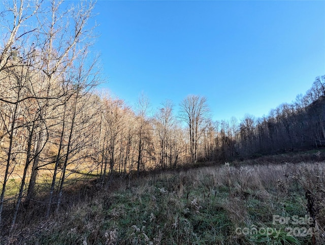 Listing photo 3 for 99999 Upper Paw Paw Rd, Marshall NC 28753