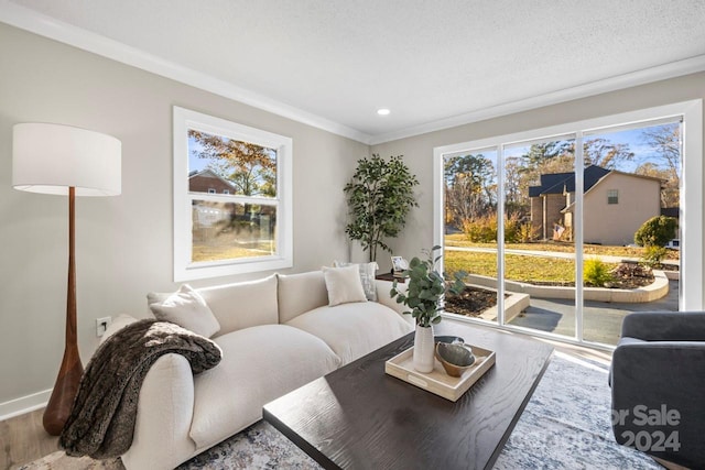 living room with hardwood / wood-style floors, a textured ceiling, and crown molding