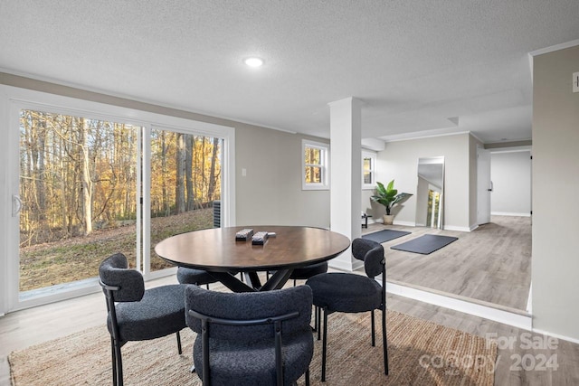 dining area with hardwood / wood-style floors, ornamental molding, and a textured ceiling