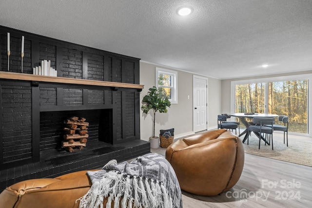 living room featuring a fireplace, wood-type flooring, and a textured ceiling