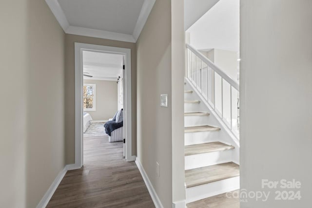 staircase featuring wood-type flooring and crown molding