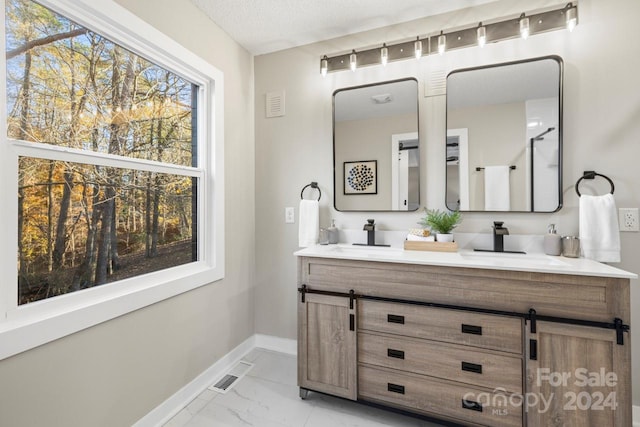 bathroom with a textured ceiling, vanity, and a healthy amount of sunlight