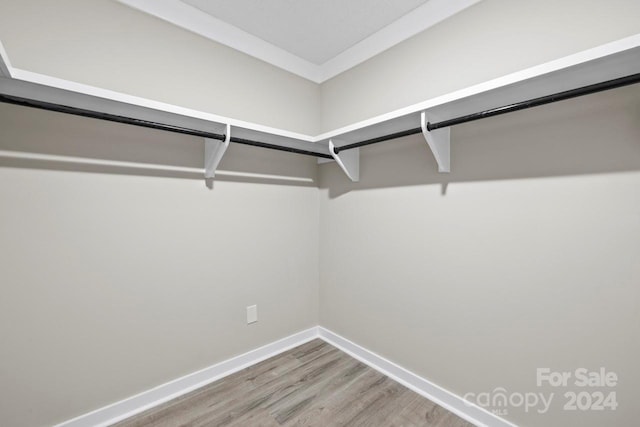 spacious closet featuring wood-type flooring