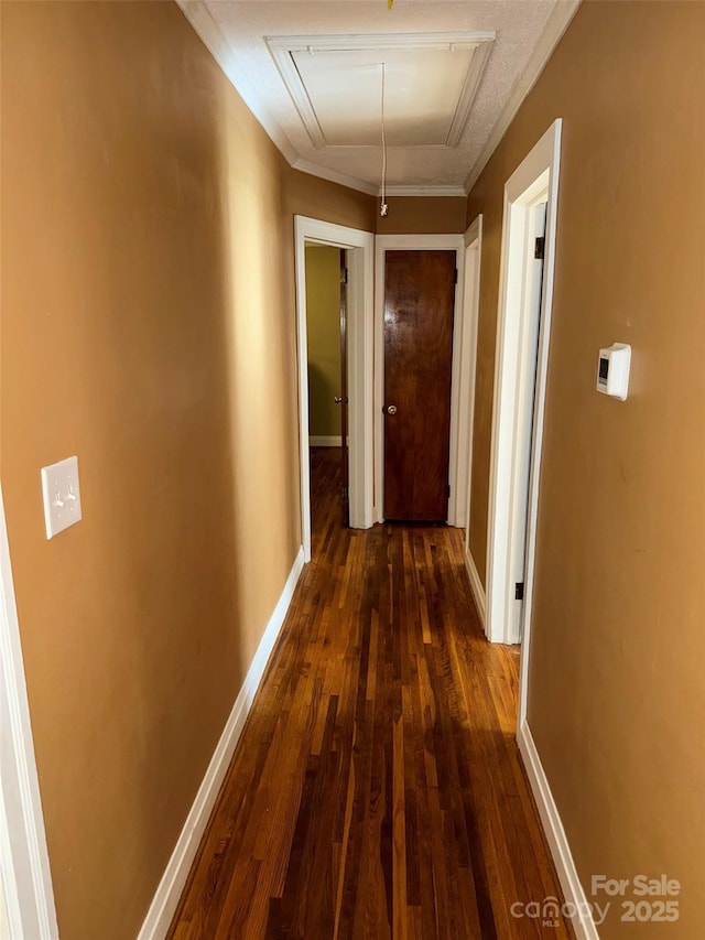 hallway with dark wood-type flooring