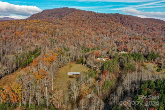 drone / aerial view with a mountain view