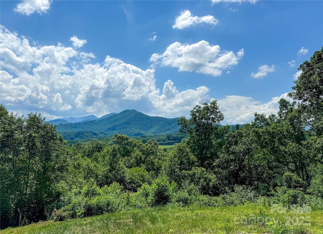 378 Monte Vista Dr, Waynesville, NC 28786 - photo 3