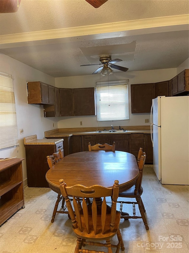 kitchen with light floors, freestanding refrigerator, ceiling fan, a sink, and dark brown cabinets