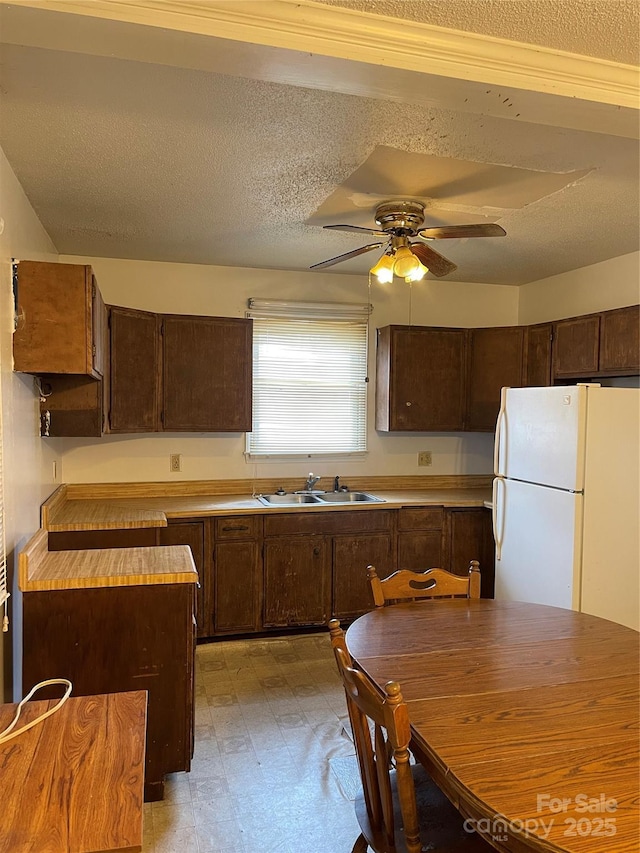 kitchen with a ceiling fan, a sink, freestanding refrigerator, and dark brown cabinetry