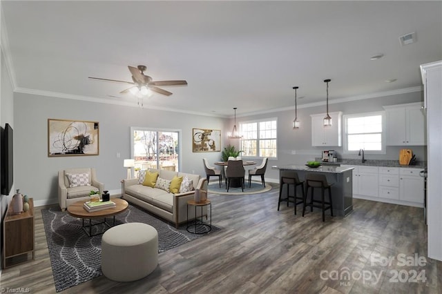 living room with dark hardwood / wood-style flooring, ornamental molding, and a wealth of natural light