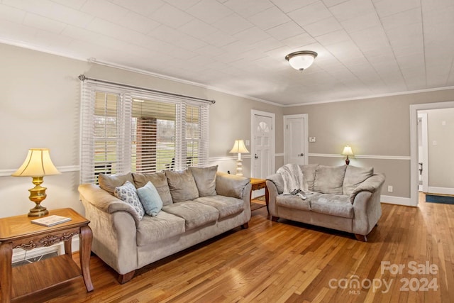 living room with light hardwood / wood-style flooring and crown molding