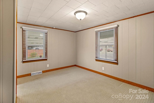 carpeted spare room featuring ornamental molding