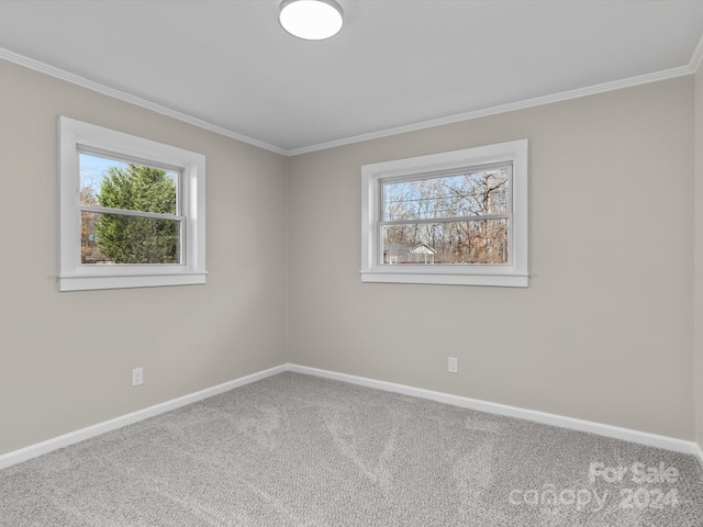 empty room with carpet and ornamental molding