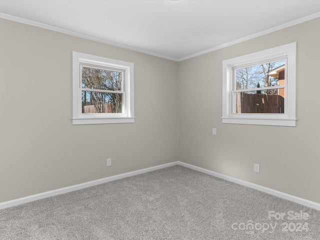 unfurnished room with carpet floors and crown molding