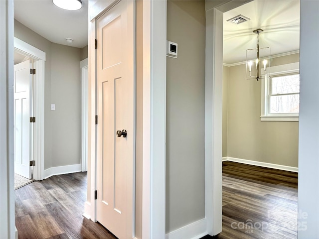 corridor with a notable chandelier, ornamental molding, and dark hardwood / wood-style floors