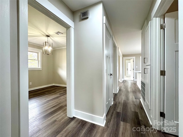 hallway with dark wood-type flooring, crown molding, and an inviting chandelier