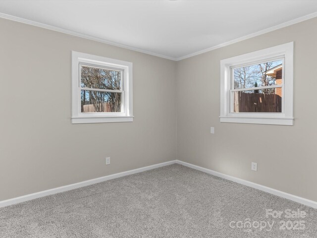 spare room featuring crown molding and carpet floors