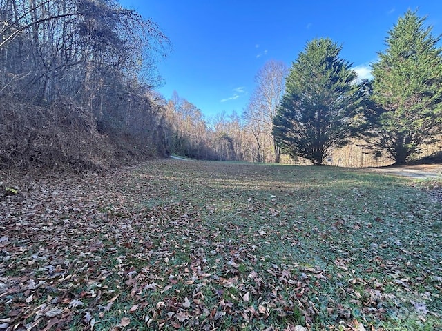 0 Whiteside Gap Rd, Robbinsville NC, 28771 land for sale