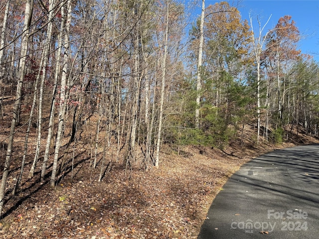 Listing photo 3 for LOT72 Lakewood Dr Unit 72, Lake Lure NC 28746