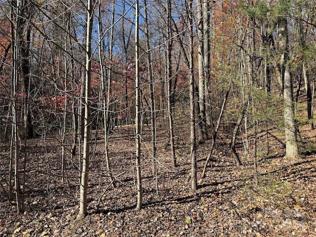 LOT72 Lakewood Dr Unit 72, Lake Lure, NC 28746