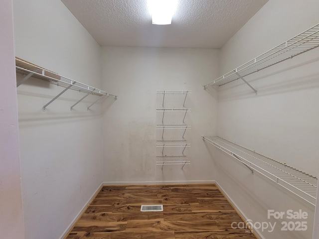 walk in closet with dark hardwood / wood-style flooring