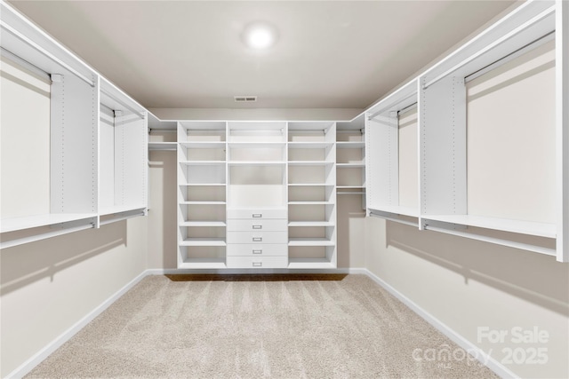 spacious closet featuring light colored carpet