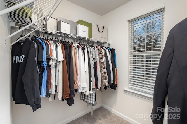 spacious closet with carpet