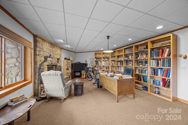 home office featuring carpet, a drop ceiling, and ornamental molding