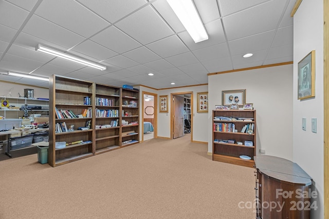 interior space with a paneled ceiling, carpet floors, and crown molding