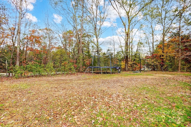 view of yard with a trampoline