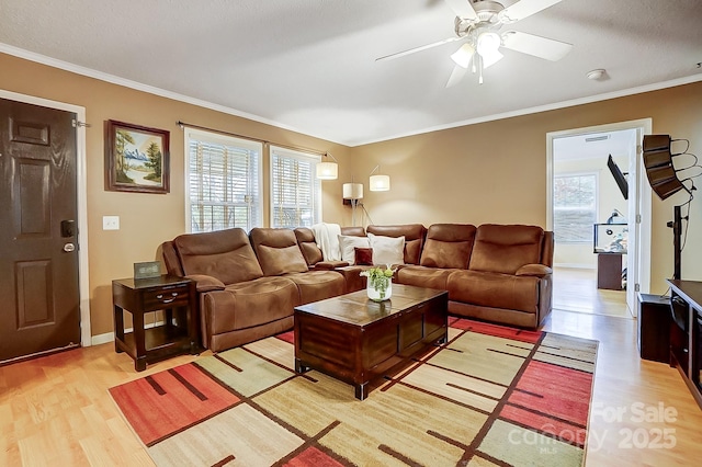 living room with ornamental molding, a healthy amount of sunlight, and light hardwood / wood-style flooring