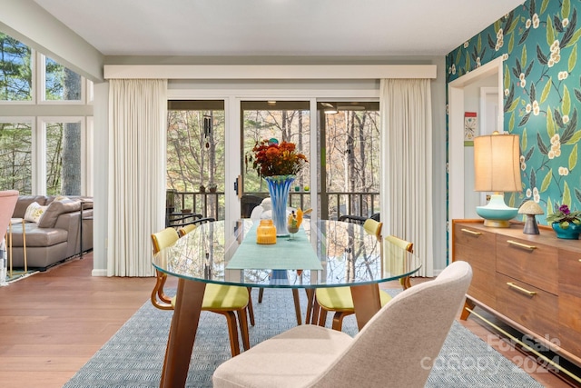 dining room with hardwood / wood-style flooring