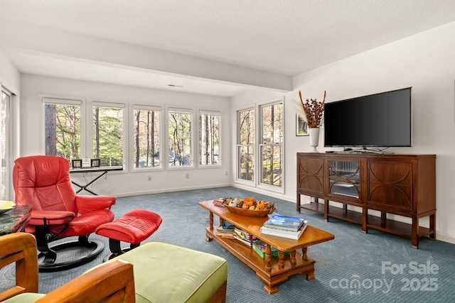 sunroom / solarium featuring a wealth of natural light