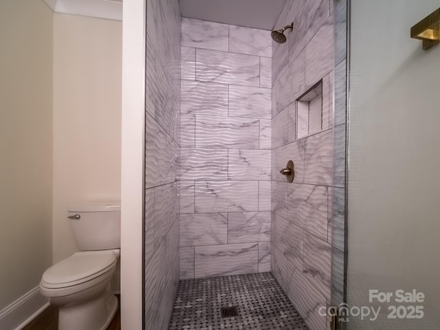 full bathroom featuring a shower stall and toilet