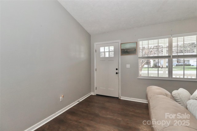 foyer entrance featuring dark wood-style floors, vaulted ceiling, plenty of natural light, and baseboards