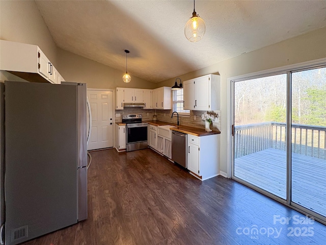 kitchen featuring lofted ceiling, dark wood-type flooring, stainless steel appliances, under cabinet range hood, and a sink