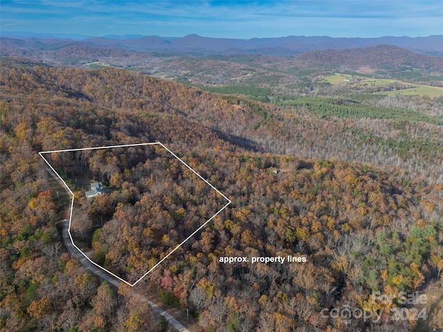 aerial view with a mountain view