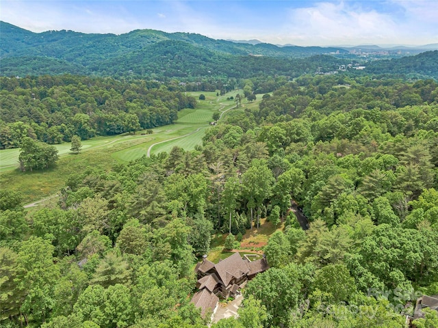 birds eye view of property featuring a mountain view