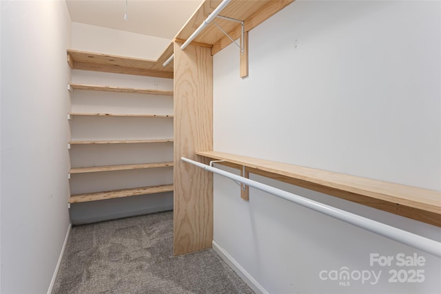 spacious closet with carpet