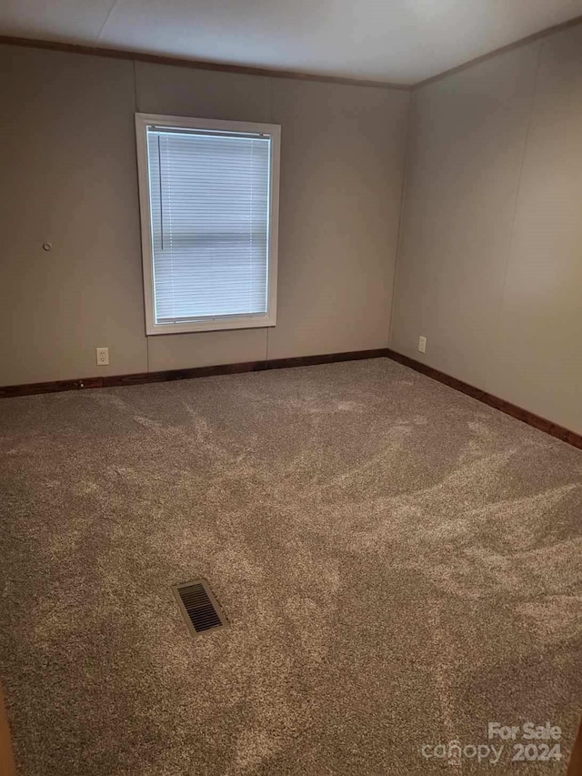 unfurnished room with carpet floors