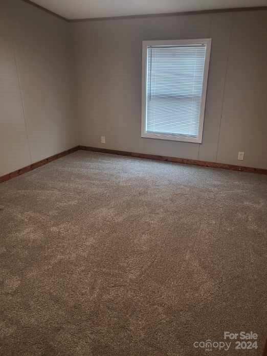 unfurnished room featuring carpet flooring