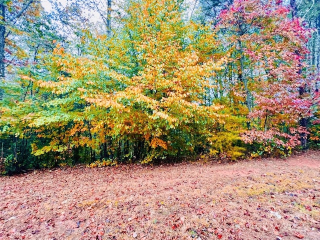 Listing photo 3 for 1.4ACRES 1184 Waterfall Ln Lot 235, Lenoir NC 28645