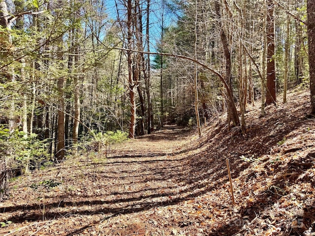 Listing photo 2 for 1.4ACRES 1184 Waterfall Ln Lot 235, Lenoir NC 28645