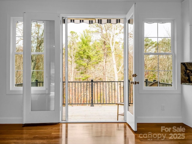 doorway featuring wood-type flooring and plenty of natural light