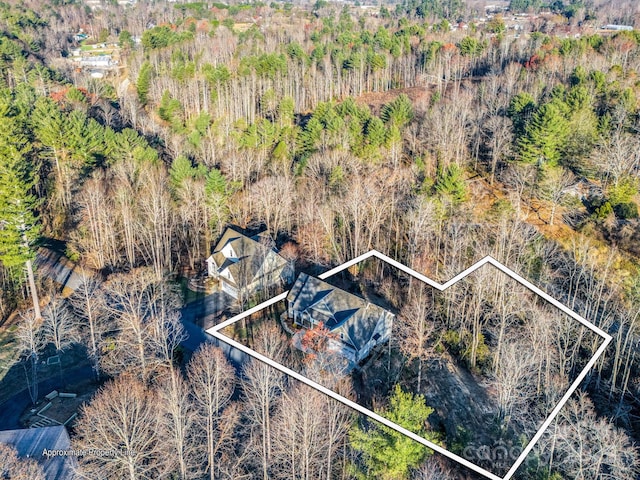 73 Wisdom Cove Rd, Flat Rock, NC 28731 - photo 33