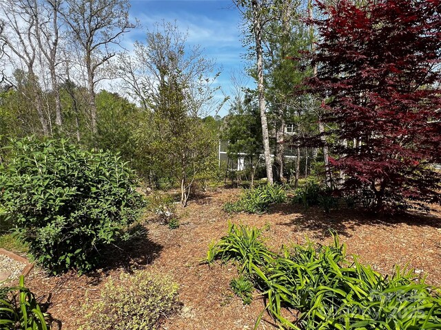 73 Wisdom Cove Rd, Flat Rock, NC 28731 - photo 31