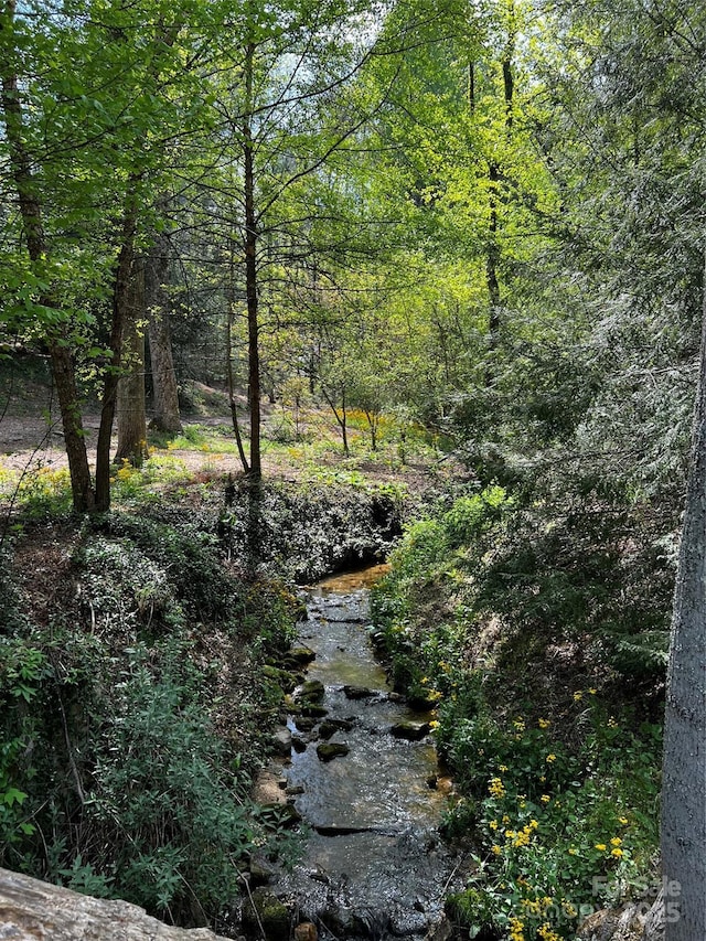 73 Wisdom Cove Rd, Flat Rock, NC 28731 - photo 35