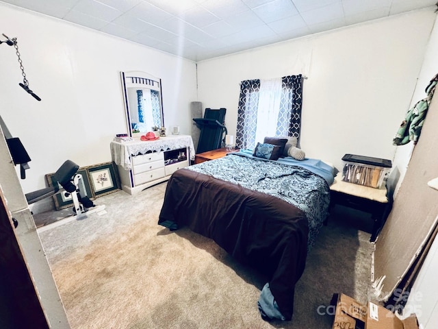 bedroom with light colored carpet