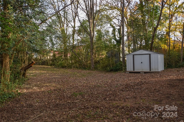 view of yard with a shed