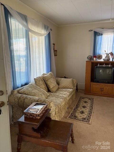 carpeted living room featuring ornamental molding