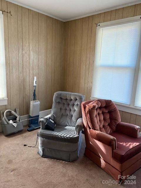 living area with carpet floors and wood walls